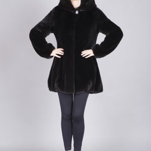 081 a (Large)